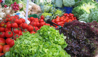 LA COCINA DEL AMPURDÁN - VARIEDAD DE GUSTOS Y CONTRASTOS