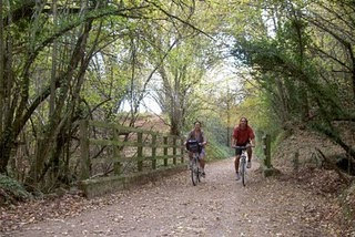 Alquiler de Bicicletas
