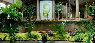Flors i Violes - Desperta els teus 5 sentits!