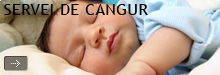 Servei de cangur