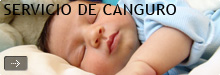 Servicio de Canguro